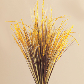 Yellow Tipped Grasses