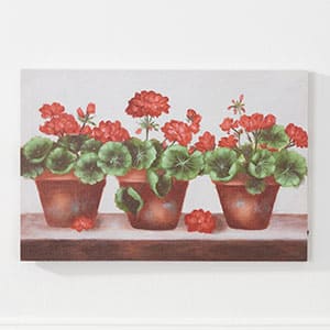 Red Geranium LED Canvas Print
